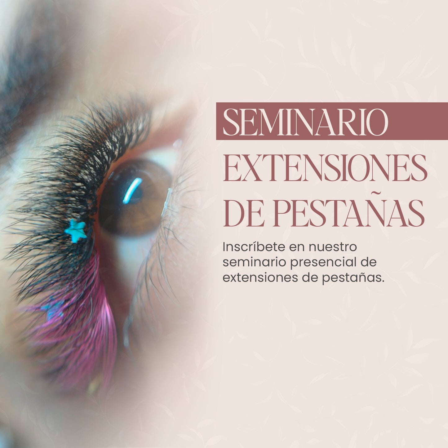 Seminario de Extensiones de Pestañas – ¡Tu nuevo comienzo empieza aquí!